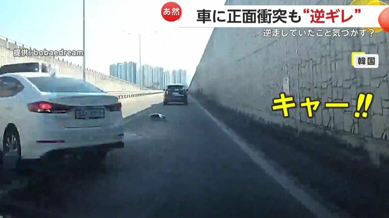 逆走してきたトラックが乗用車と正面衝突する瞬間（韓国）⑤