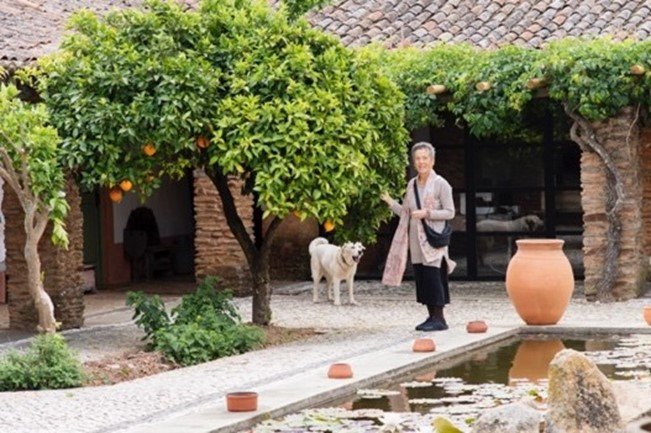 ベルガイシュ芸術センターの中庭にて撮影・神戸シュン　©️ 日本美術協会
