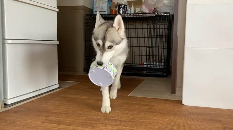 お皿を片付けることもある