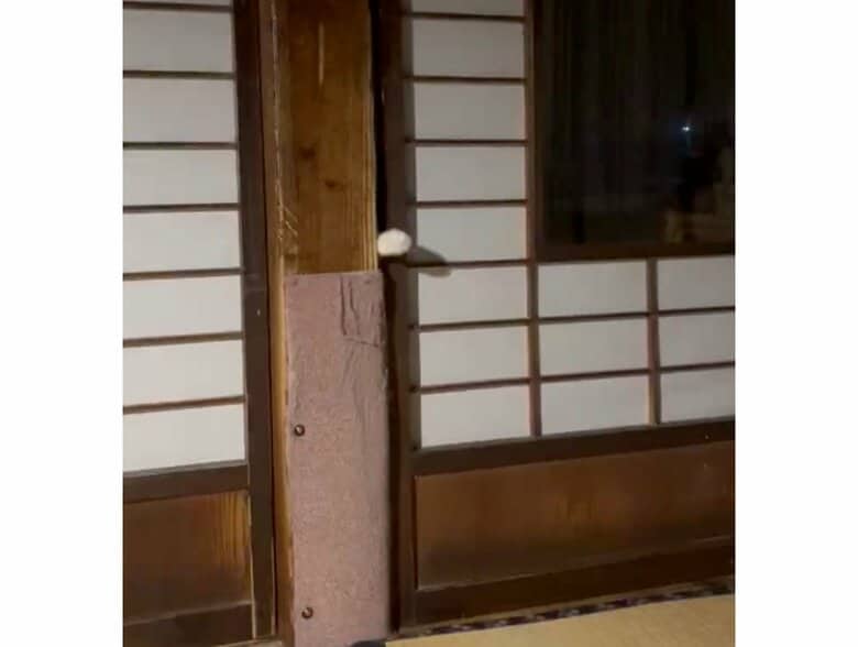 手招きする白い“手”（提供：いのうえもんぺさん）