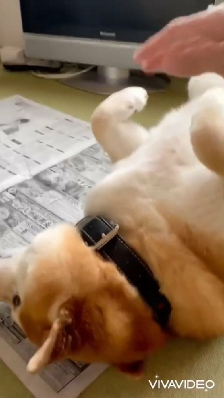 兄もおばあちゃんも笑っている。兄は手を伸ばし…