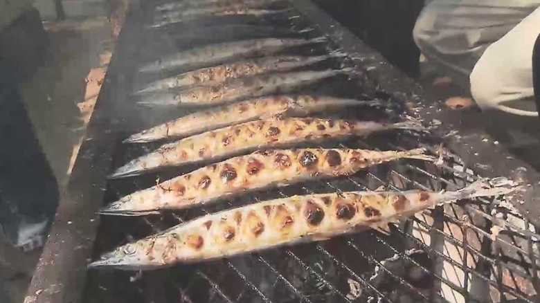 初値1匹2980円!サンマが危機的不漁で食卓から消える?