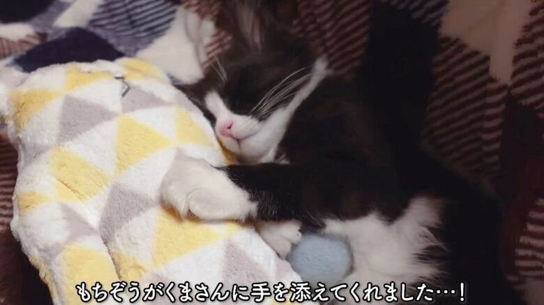提供：もちぞう ですが。さん