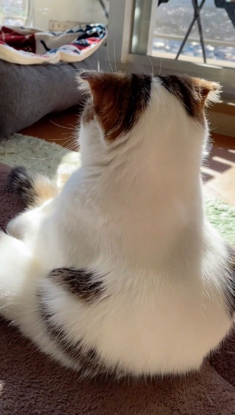 近づいて…