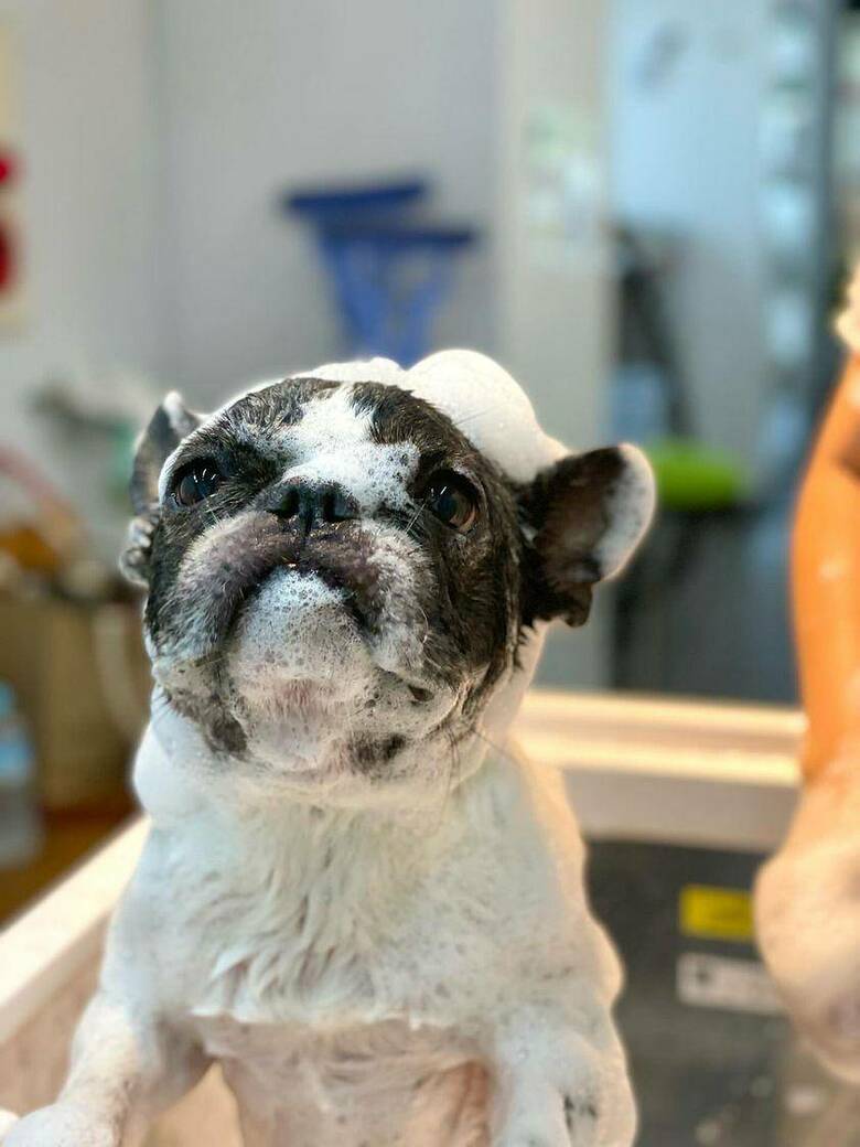 提供：丸男さん