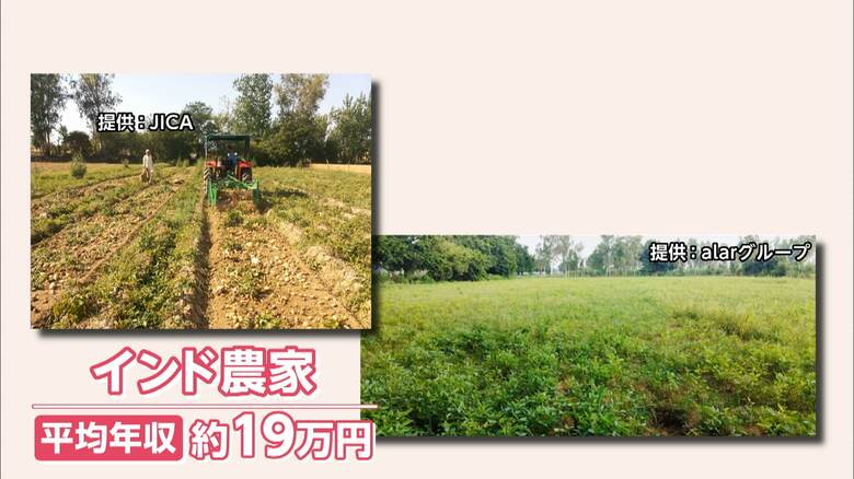 インド農家（提供：JICA・提供：alarグループ）
