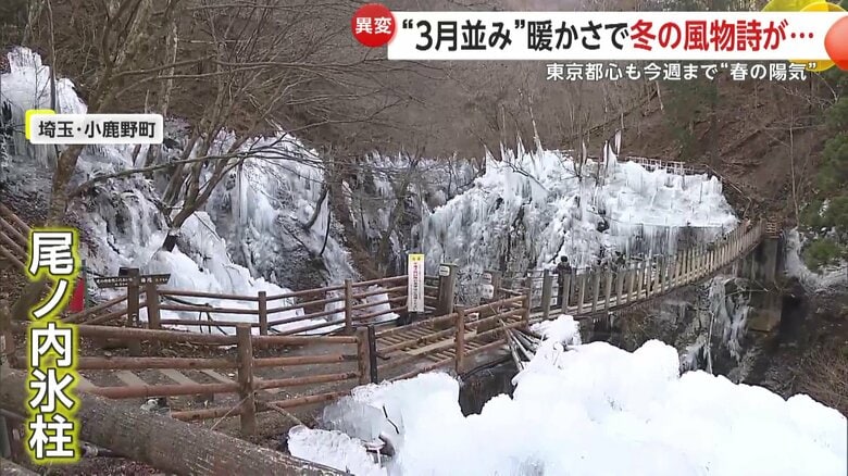 埼玉・小鹿野町で始まった「尾ノ内氷柱」