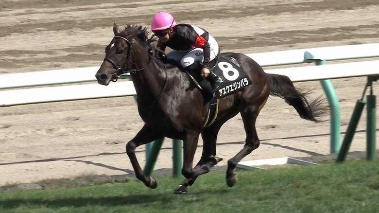 コスモス賞を制したアスクエジンバラ