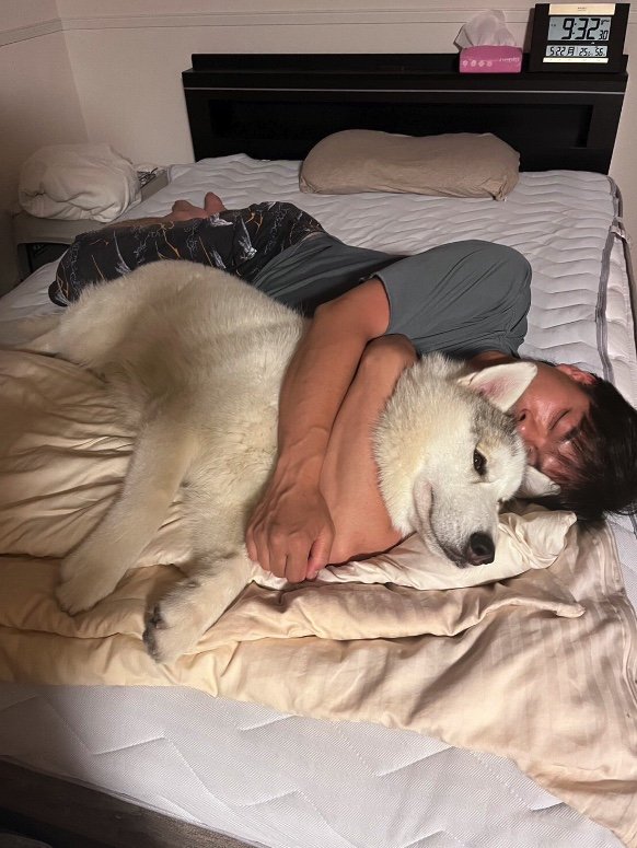 提供：斑柄兄妹（銀太と緋那子）さん