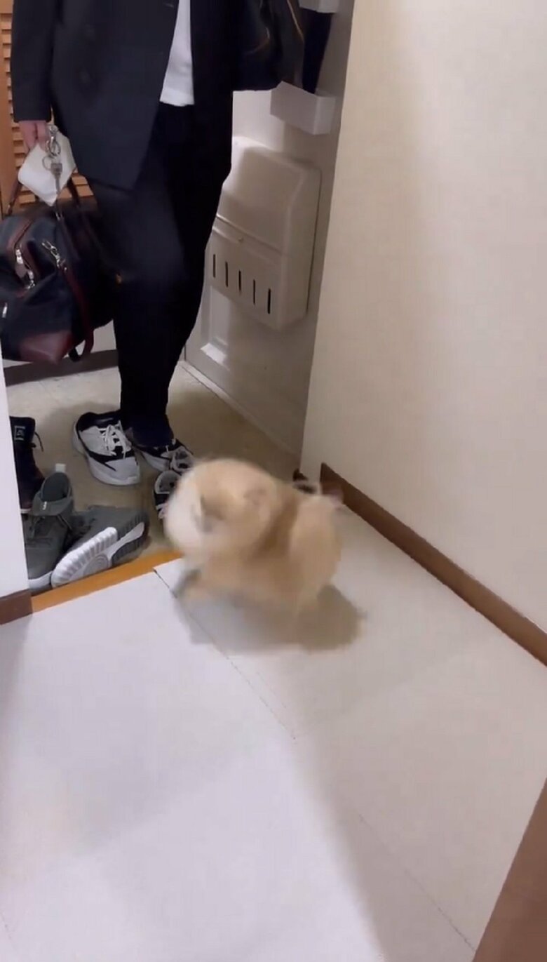 くるくる回って