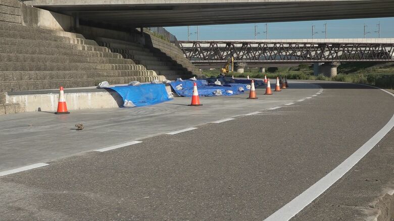 足羽川河川敷のスケートボード場