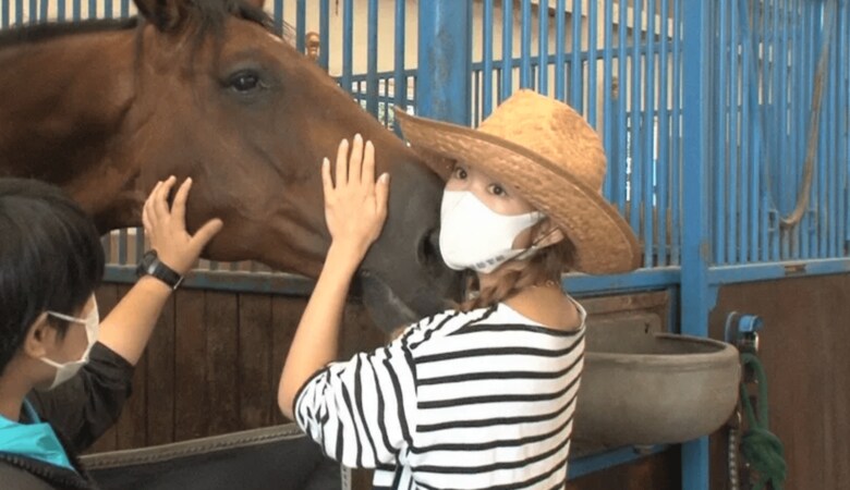 牧場経営のためロンドンから那須へ移住…紗栄子が新たなビジネスで見せた経営者の顔
