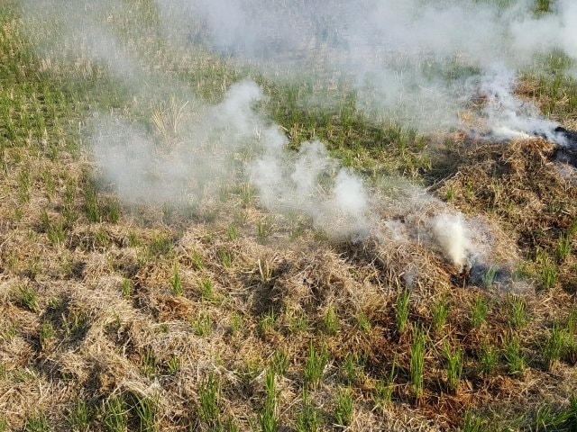 野焼き（イメージ画像）