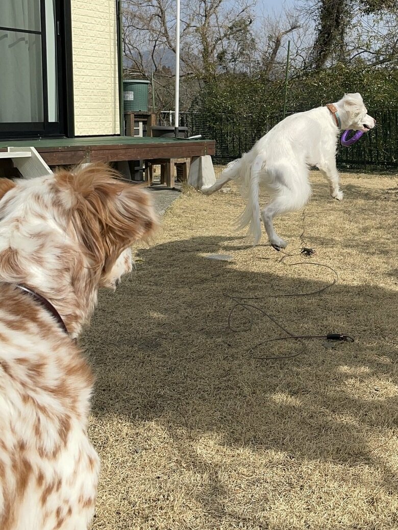 UFOに連れて行かれる!?