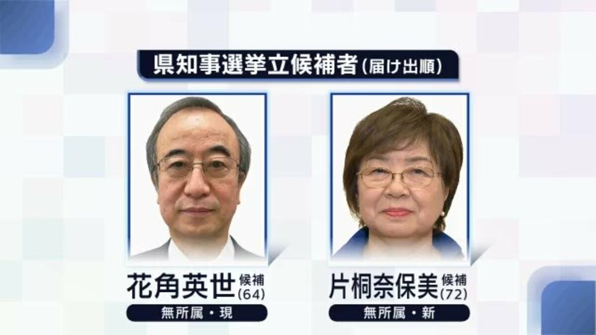 新潟県知事選挙が告示 花角氏 片桐氏の２人が立候補 午前９時現在