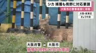 【速報】“奈良公園から来た？シカ”大阪府警が「捕獲も視野に対応を大阪市に要請」きのう（24日）午後6時半ごろから大阪府警の施設内に“滞在中”