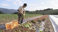 廃棄食材から肥料作り 高騰する輸入品に頼らず野菜栽培する若手農家 完全な循環型農業とは【福岡発】
