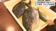 「意外とおいしい」子供たちが“未利用魚”の干物づくり　静岡・下田市で「カリブの学港」