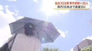 熱中症疑いの搬送が２５人に　宮城県内は午前を中心に晴れて気温上昇　１６地点で３０度以上の真夏日
