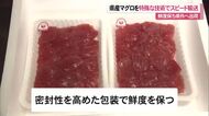 県産の生マグロが24時間以内に首都圏へ　