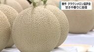 高品質なクラウンメロン並ぶ　天候良く甘さや香りに自信　日本平ホテルで特別に提供へ