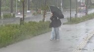 雨で交通機関にも影響　岩手県を含む東北北部が梅雨入り　平年より6日遅く、2025年より2日早い