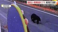 クマが商業施設駐車場に侵入　麻酔銃使用し駆除　早朝から周辺で目撃相次ぐ　秋田市