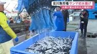 秋の味覚サンマが女川港に今季初水揚げ　全国的な不漁で１カ月遅れ　初入札は去年の約３倍の高値〈宮城〉