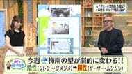 【福島県・7月7日の天気】今週から梅雨の型が激変！「ジメジメ」から「猛暑とゲリラ雷雨」へ