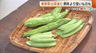 “豆類”で疲労回復！おすすめは“そら豆”「色が濃くずっしりとしたもの選んで」