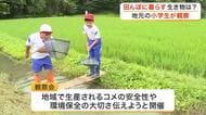 小学生が地元の田んぼに生息する生き物を観察　「自然が豊かでいいと思う」　希少な生き物も発見〈宮城〉