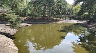 池の水ほとんど抜いてみたら…外来種の魚から生態系を守るプロジェクト