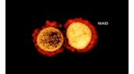 北海道「1日2人の再陽性」を確認…2人ともクラスター