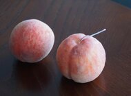 うぶ毛も表現…キャンドルアーティストが作った“白桃”がスゴい! 香りまで感じそうな再現度に驚き