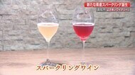 新しいおらんくワイン誕生!「地元の人が誇れるように」県産ブドウのスパークリングワイン【高知】