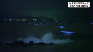 氷見沖 海面青白く幻想的に…夜光虫か