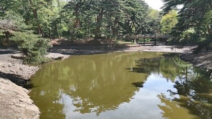 池の水ほとんど抜いてみたら…外来種の魚から生態系を守るプロジェクト