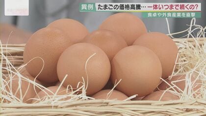 高騰続き「たまごクライシス」 もう“物価の優等生”と呼べない…たまご価格“2倍”に【大阪発】