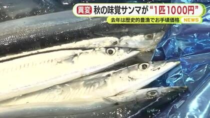 高騰続く　秋の味覚サンマが“1匹1000円”まるで高級魚  1年前は豊漁でお手頃価格だったが…