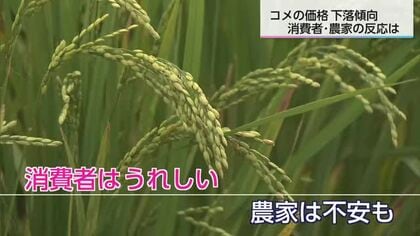 新米が安い「価格の逆転」　コメの価格に消費者は…農家は…