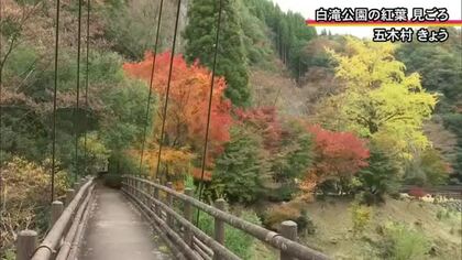 五木村の白滝公園の紅葉が見ごろ【熊本】