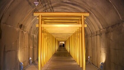 「お金増えないかな」黄金鳥居が金価格高騰で注目！荘厳な50本の金箔の鳥居ズラリ…土肥金山が“開運”リニューアル