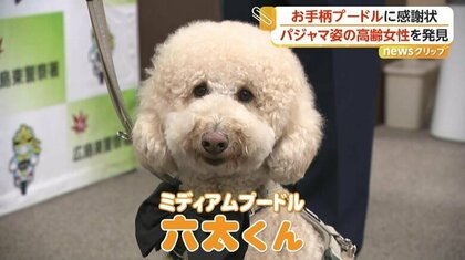 【感謝状】ひとり泣きながら歩く6歳女児に“声かけ”救った大学教授◇「ワンパト隊」のプードルと飼い主　散歩中に行方不明の高齢女性を発見