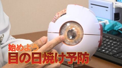 眼科医が指摘する“目の日焼け対策”の落とし穴　UVカット表示のないサングラスは「かえって危険」　色が濃いだけでは防げない　
