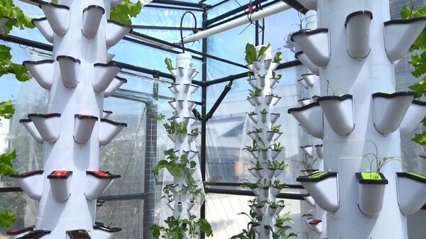 野菜の栽培と魚の養殖を同時にできる温室が登場 循環型社会を目指す取り組みとして注目集める