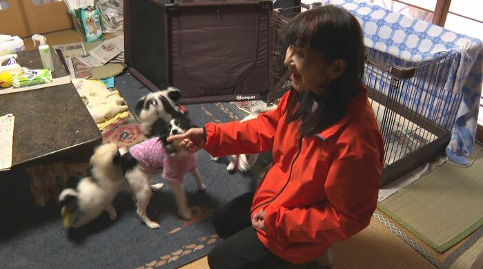松本ドッグレスキューの代表・池田良子さん