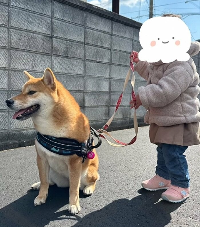一緒に散歩