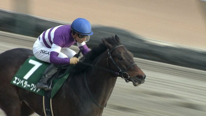 2024年 根岸Sを制したエンペラーワケア