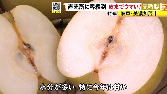 ニュースONE
