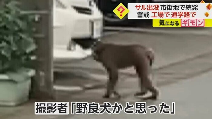 (視聴者撮影)